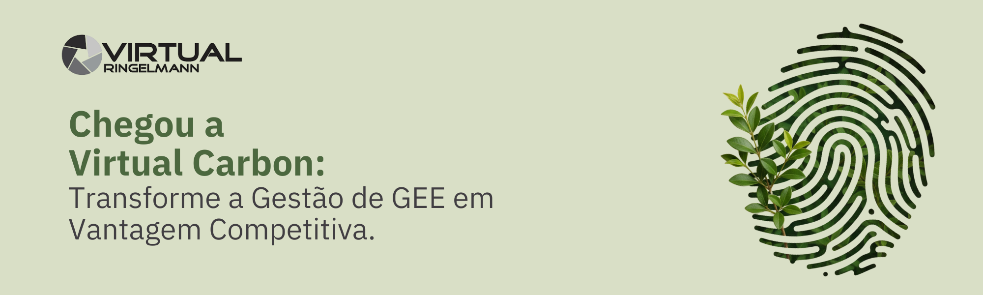 Sustentabilidade Simplificada: Apresentamos a Virtual Carbon